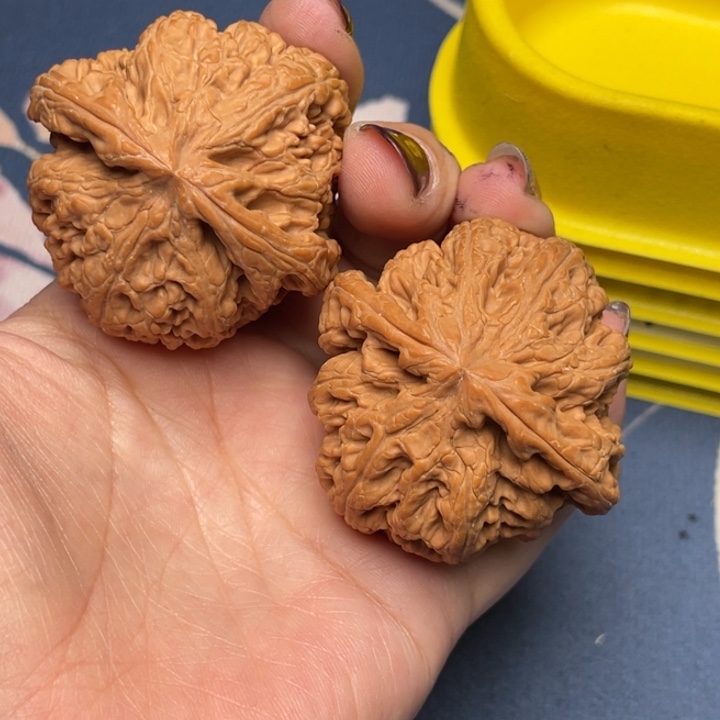 文玩核桃把件恭**财粗筋47