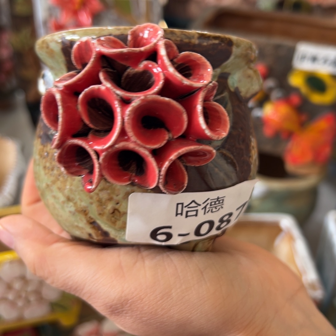 花盆，满20米发货爱退款拉黑