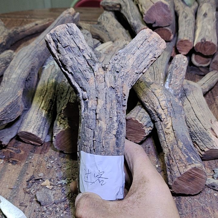 过***客火琉璃原杈不保沉水慎拍！