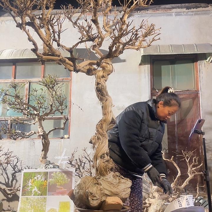 无花朵88888888888