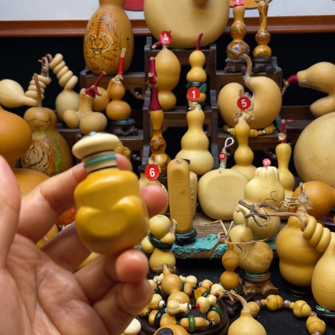 金*大自然的秘密第十一节