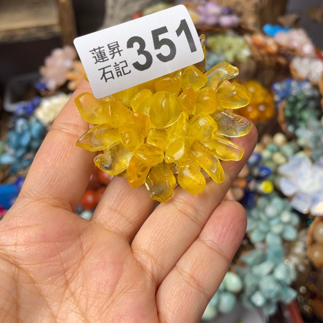 核桃木/黑胡桃（胡桃木）珍*351