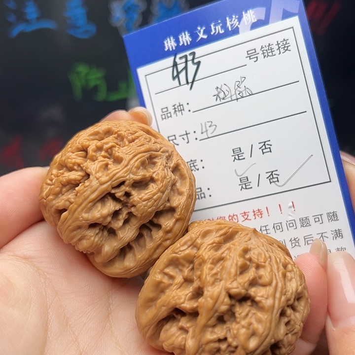 文玩核桃吊坠核桃树473