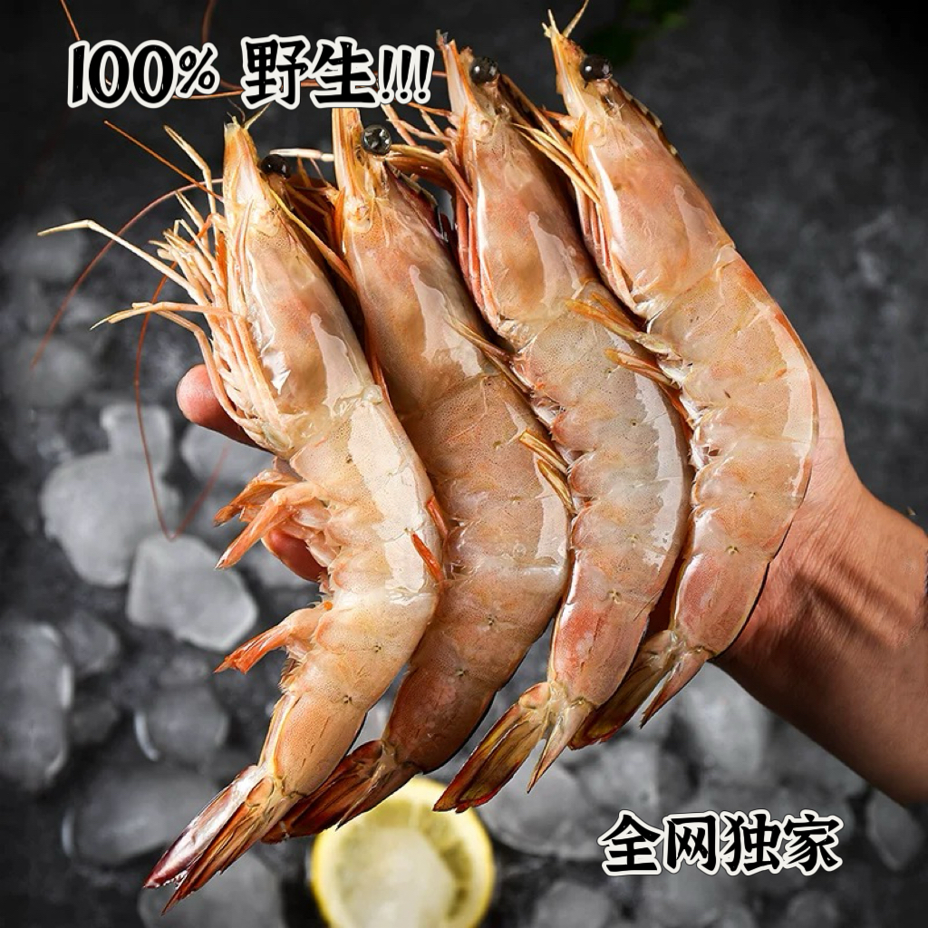 野生特大号海明虾一斤7-8只大规格天然海捕净重不包冰