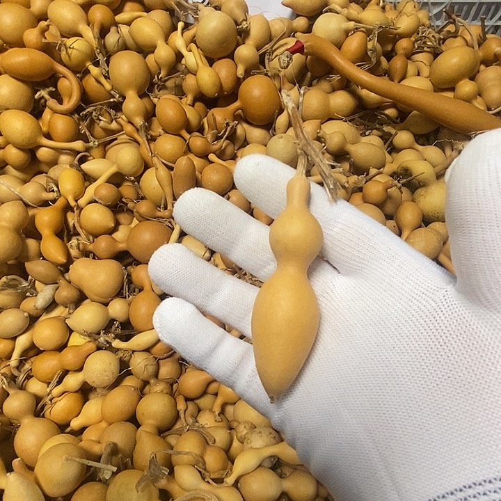 直播间 选货用链接 请勿乱拍 文玩手捻蚂蚁葫芦 可盘玩把玩手把件