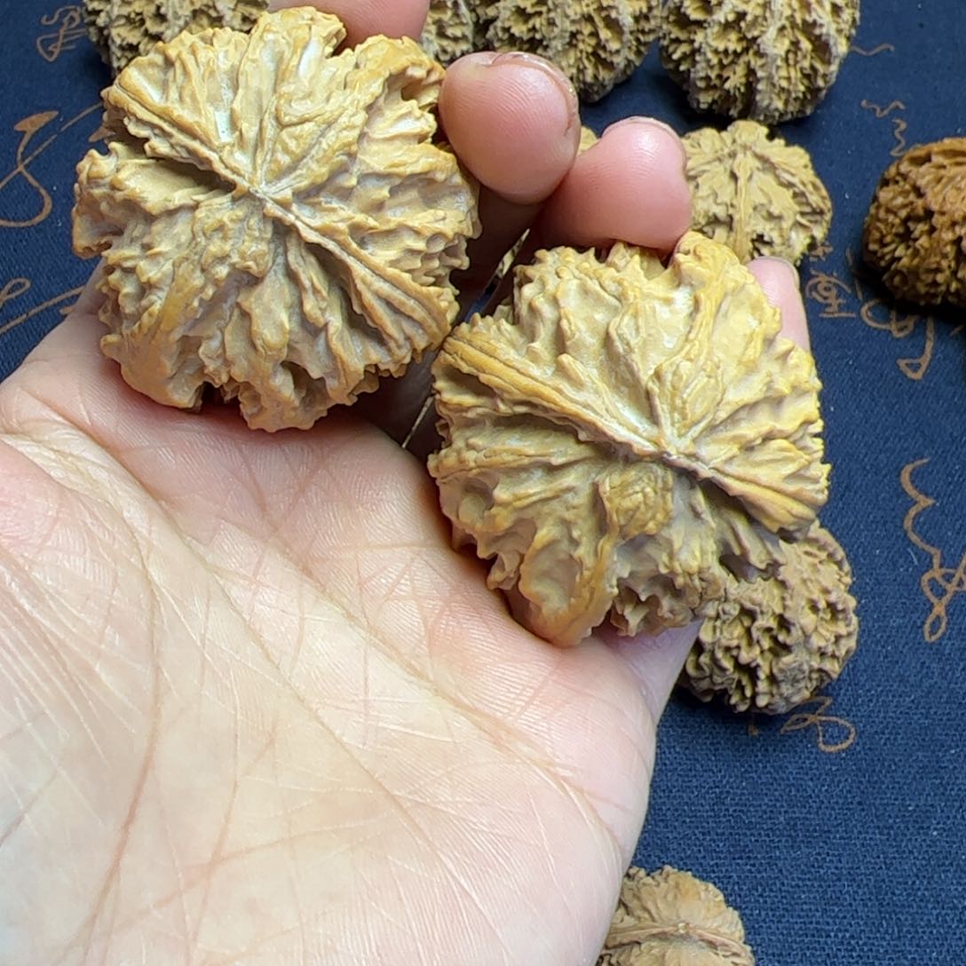 文玩核桃把件秦岭野生植物核桃