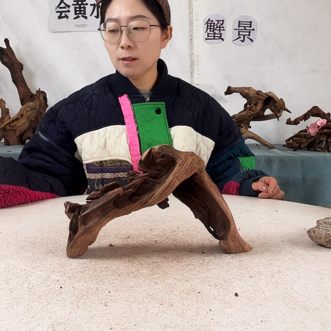 沉木造景爬宠造景