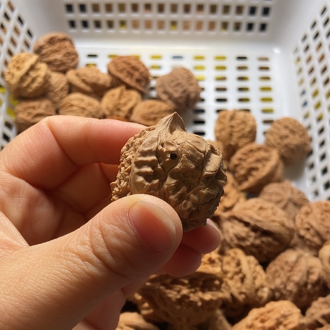 @***室文玩核桃吊坠官帽