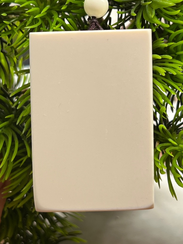 A188人工养殖鹿角雕刻461无事牌3