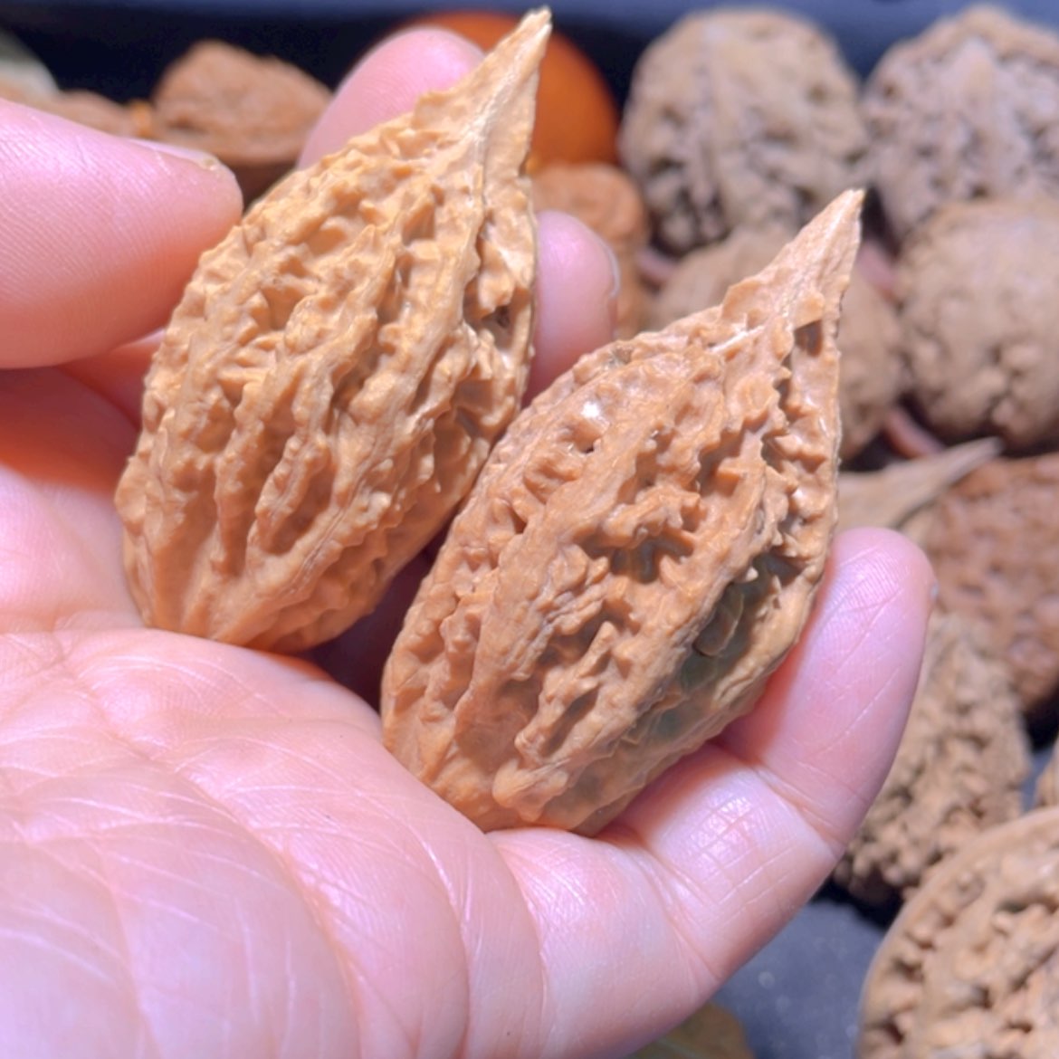 【闪购商品】把件文玩核桃东北楸子3