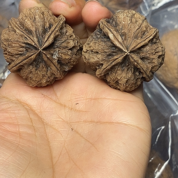 文玩核桃把件云南铁核桃30