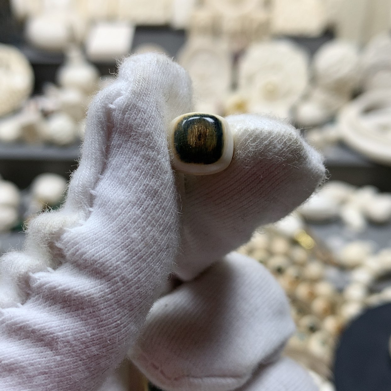 【闪购商品】其他猛犸象牙大****?