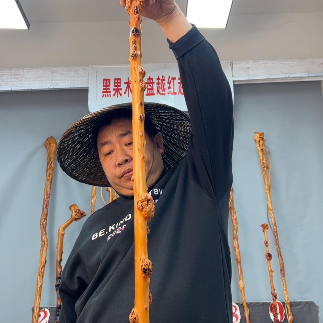 黑果木其他乐*黑果木002