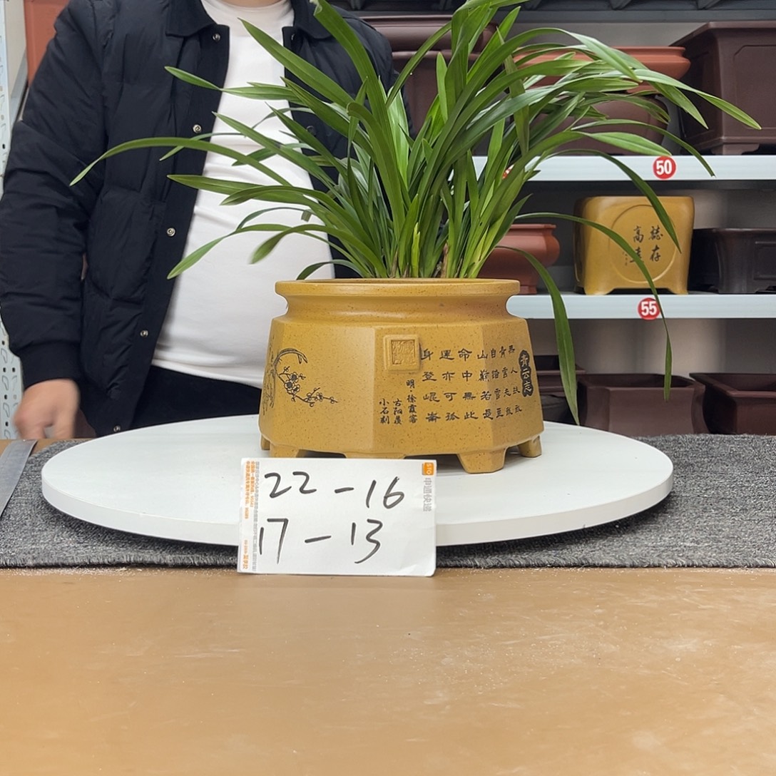 花盆紫砂在上世纪