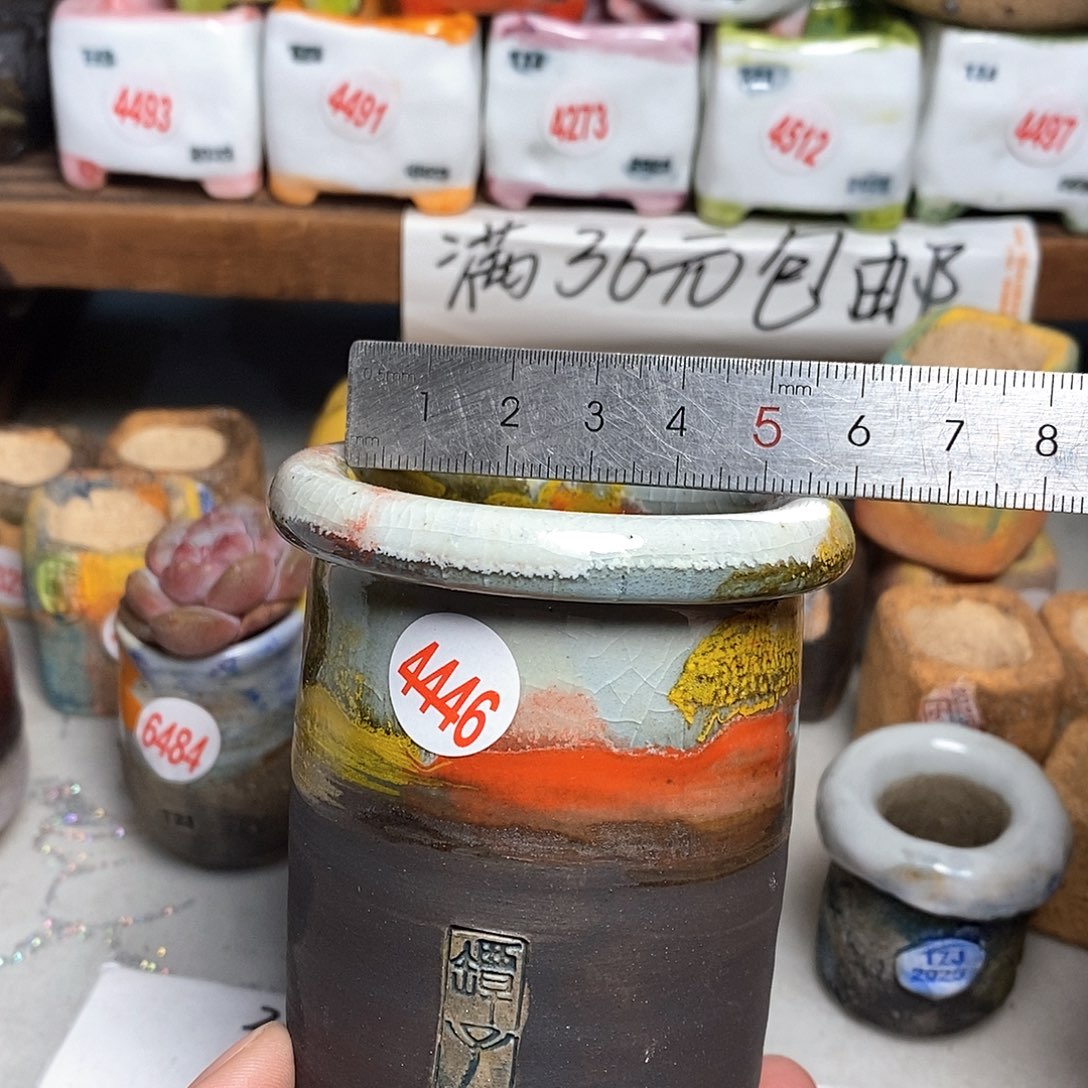 红陶拍5送一个小