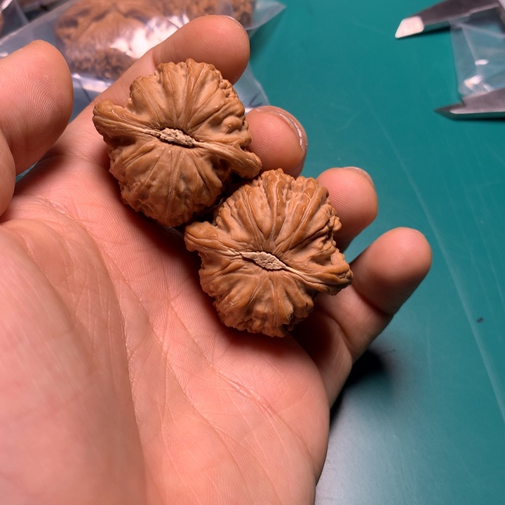 把件文玩核桃0**9白狮子