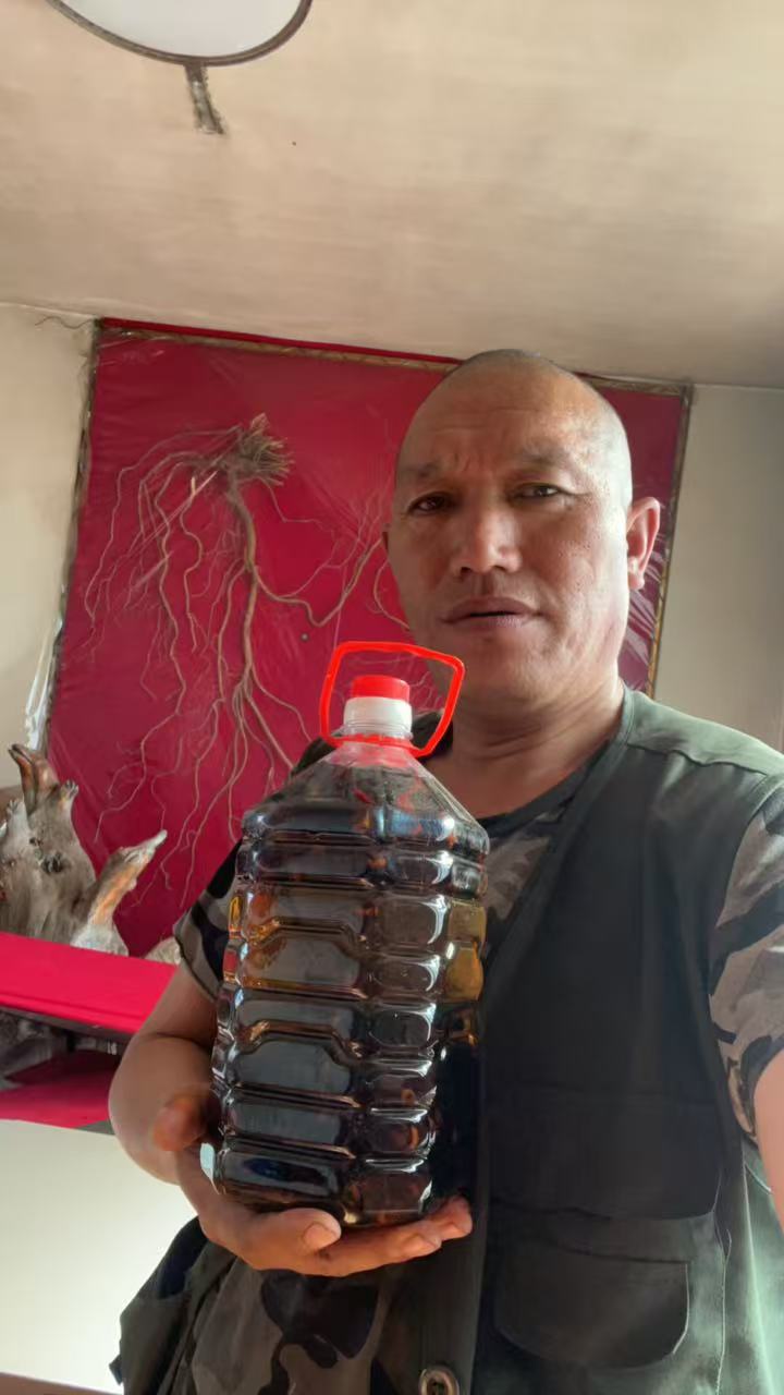现泡东北虎头蜂200只