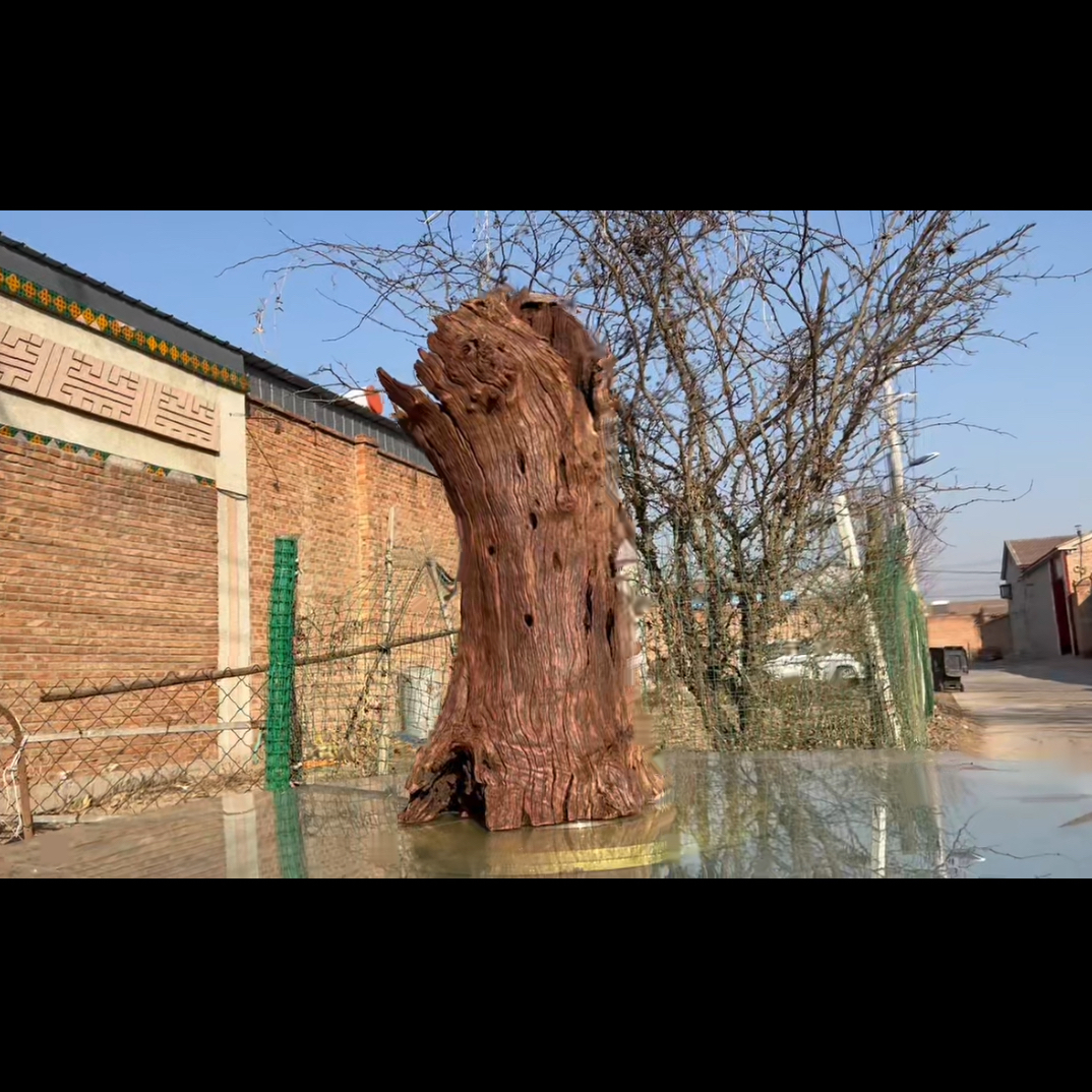 尺寸：40✖️36✖️70，鱼缸造景沉木摆件，紫柚木，秒沉水，包煮，南美缸