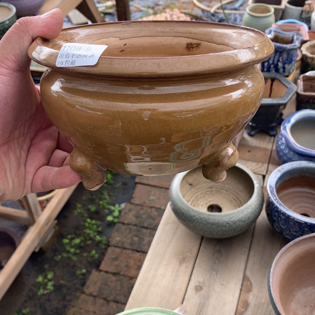 8号东云烧花盆内16高11