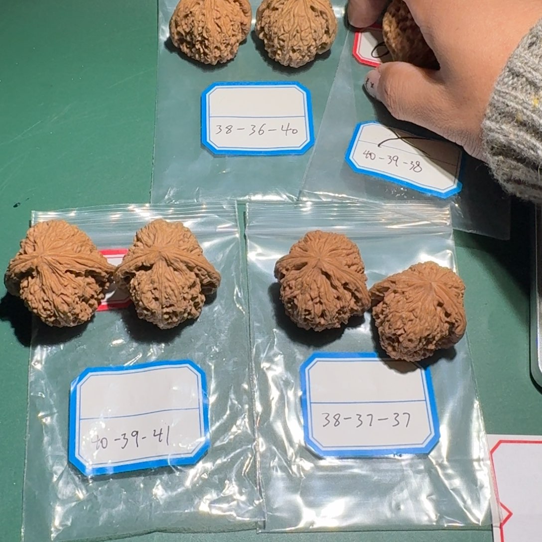 壹***米文玩核桃吊坠47号南疆