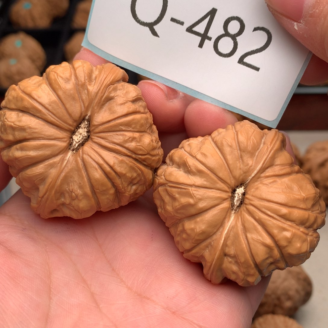 文玩核桃把件格*特46南瓜墩……….