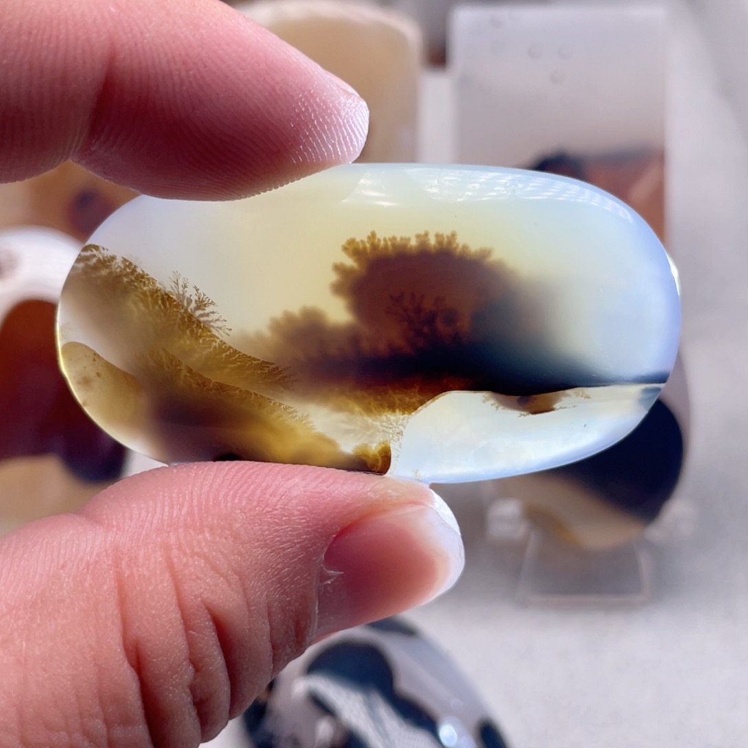 【闪购商品】玛瑙/玉髓颈饰合金