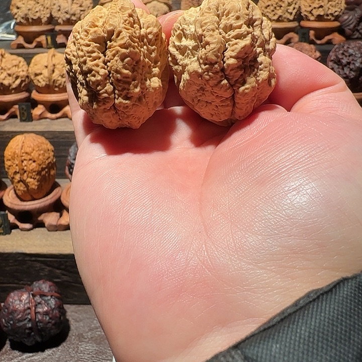 木质类临沧古蟾王46尺福利