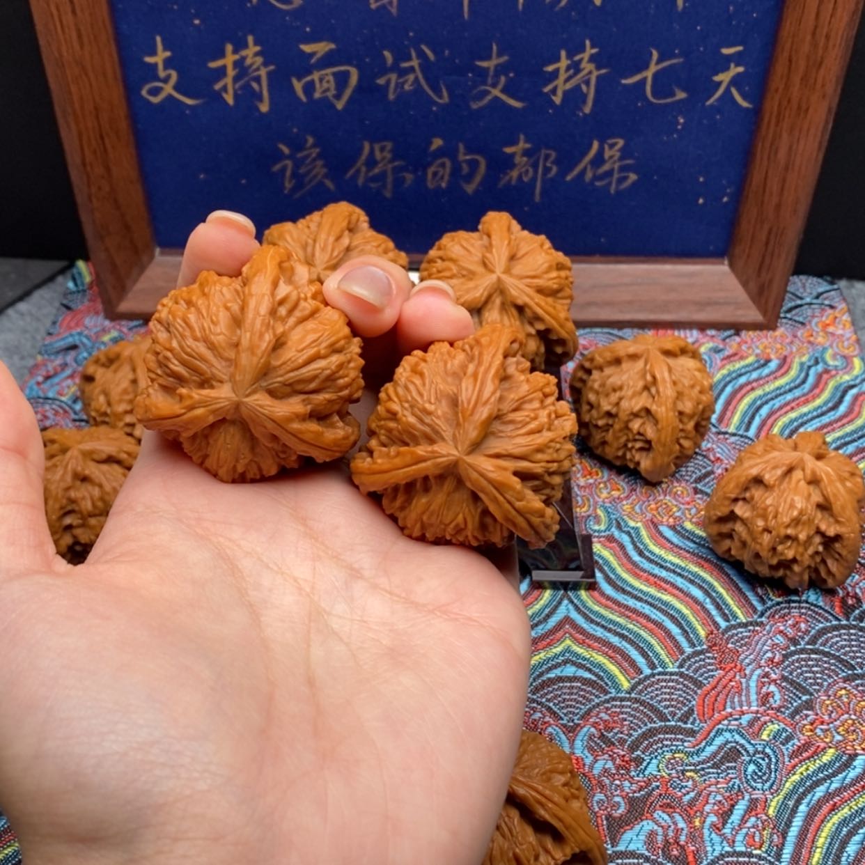 【闪购商品】Y****g白狮