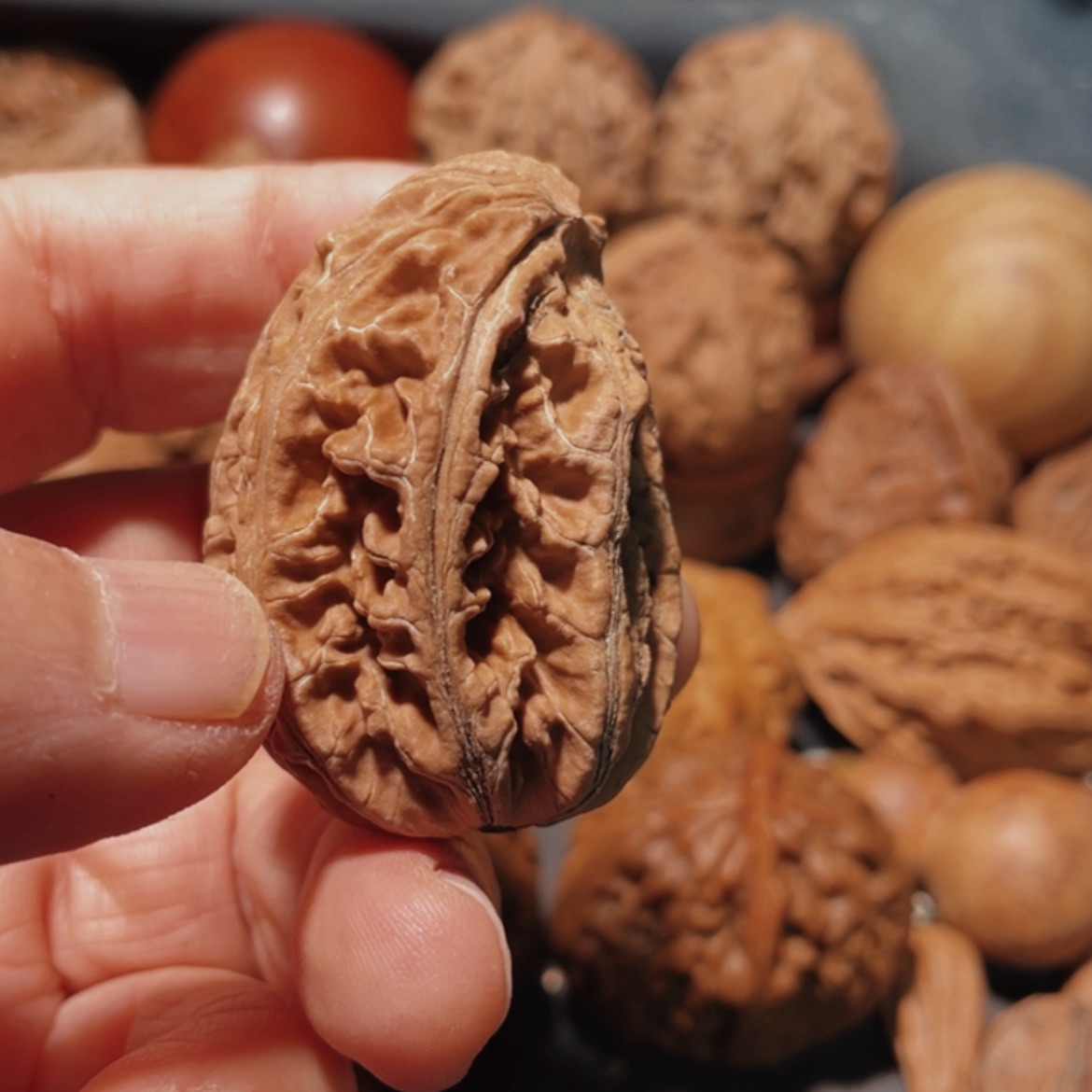【闪购商品】把件文玩核桃东北楸子8