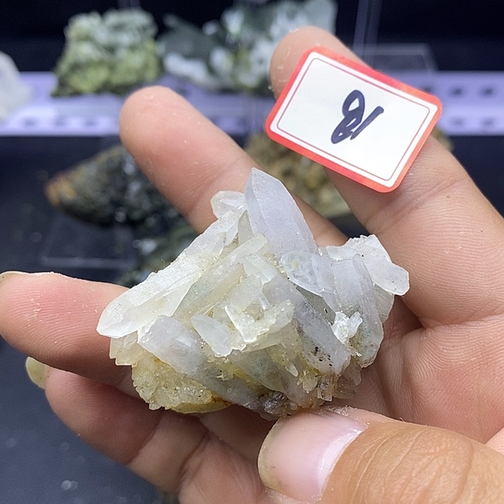 有机玻璃喜马簇91