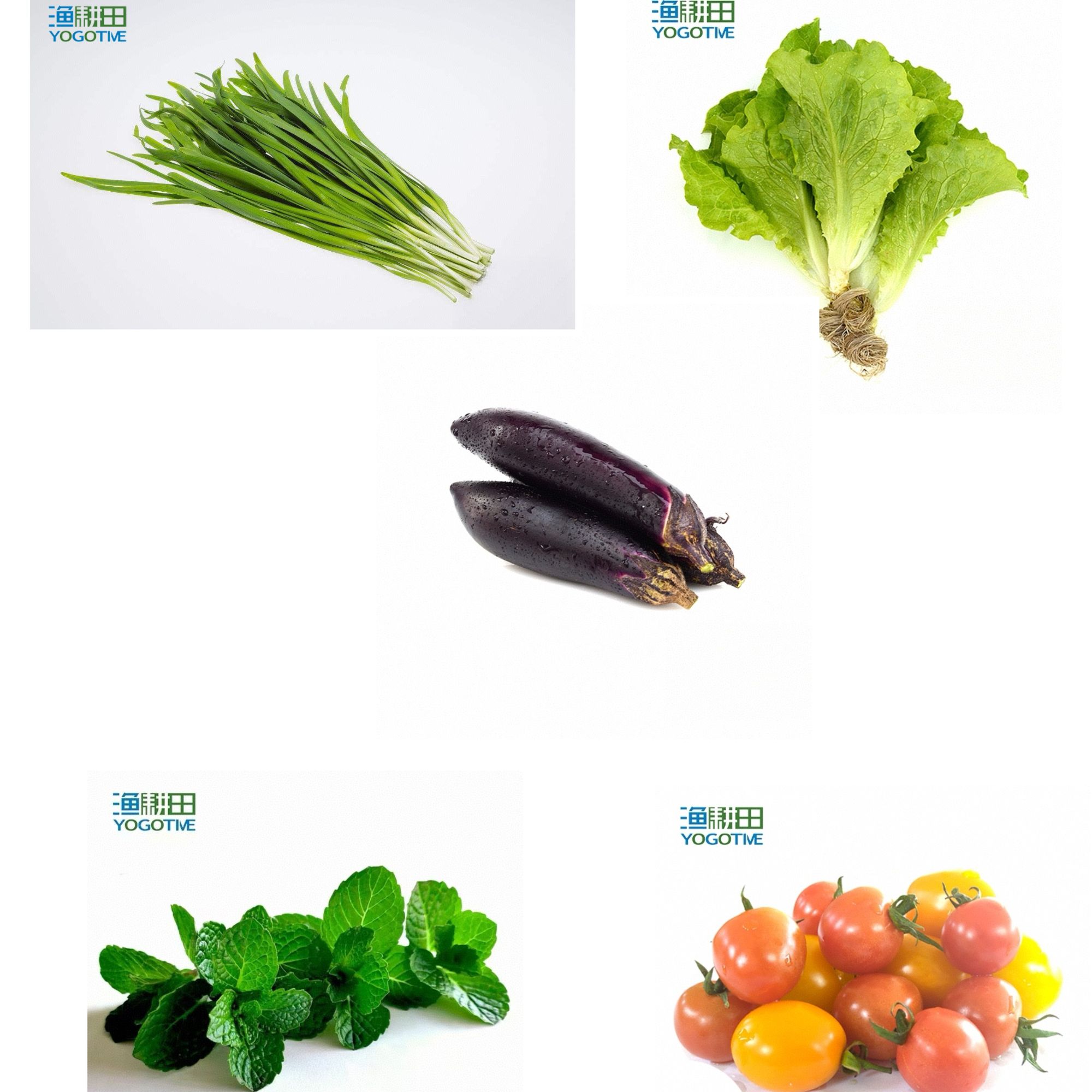 YOGOTIME/渔耕田成都渔耕田蔬菜体验包5斤（仅限成都本地）