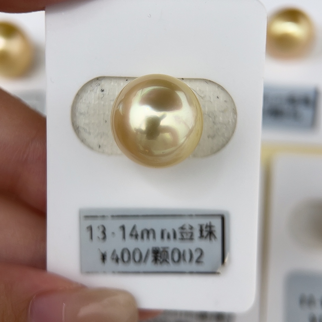 海水珍珠未镶嵌颈饰13.9mm 金珠 干枯玫瑰