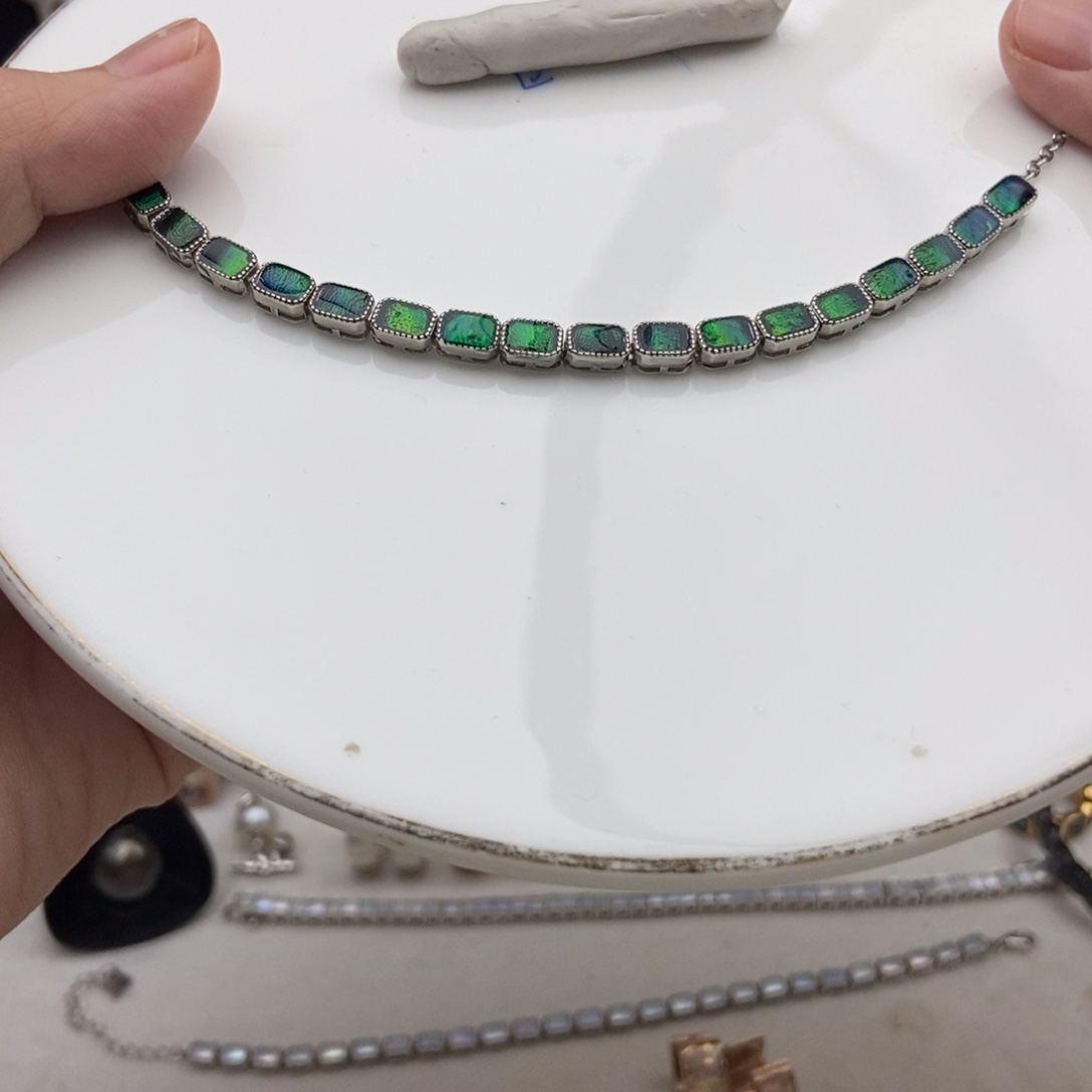 钛钢贝壳画框吉丁虫满绿手链