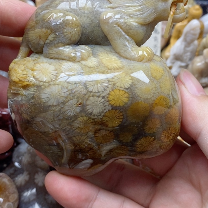 颈饰未镶嵌硅化珊瑚（珊瑚玉）