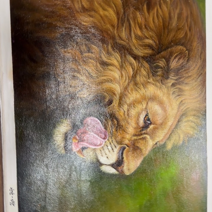 油画优惠多多指教了。