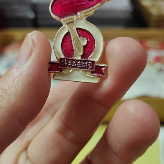 张***友其他普通金属纪念章