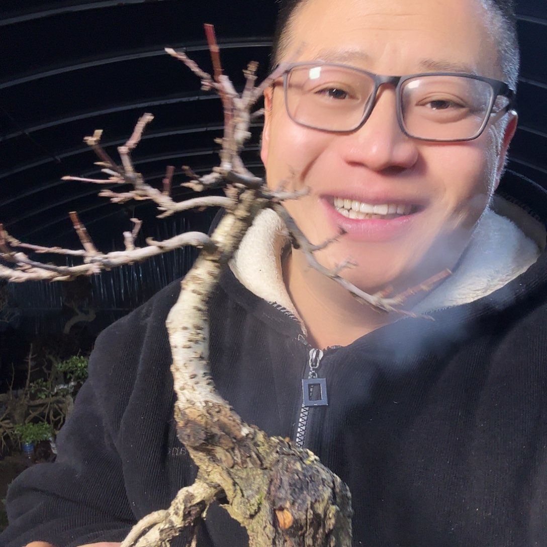 ****ℯ当前无花朵，栽培后可花朵