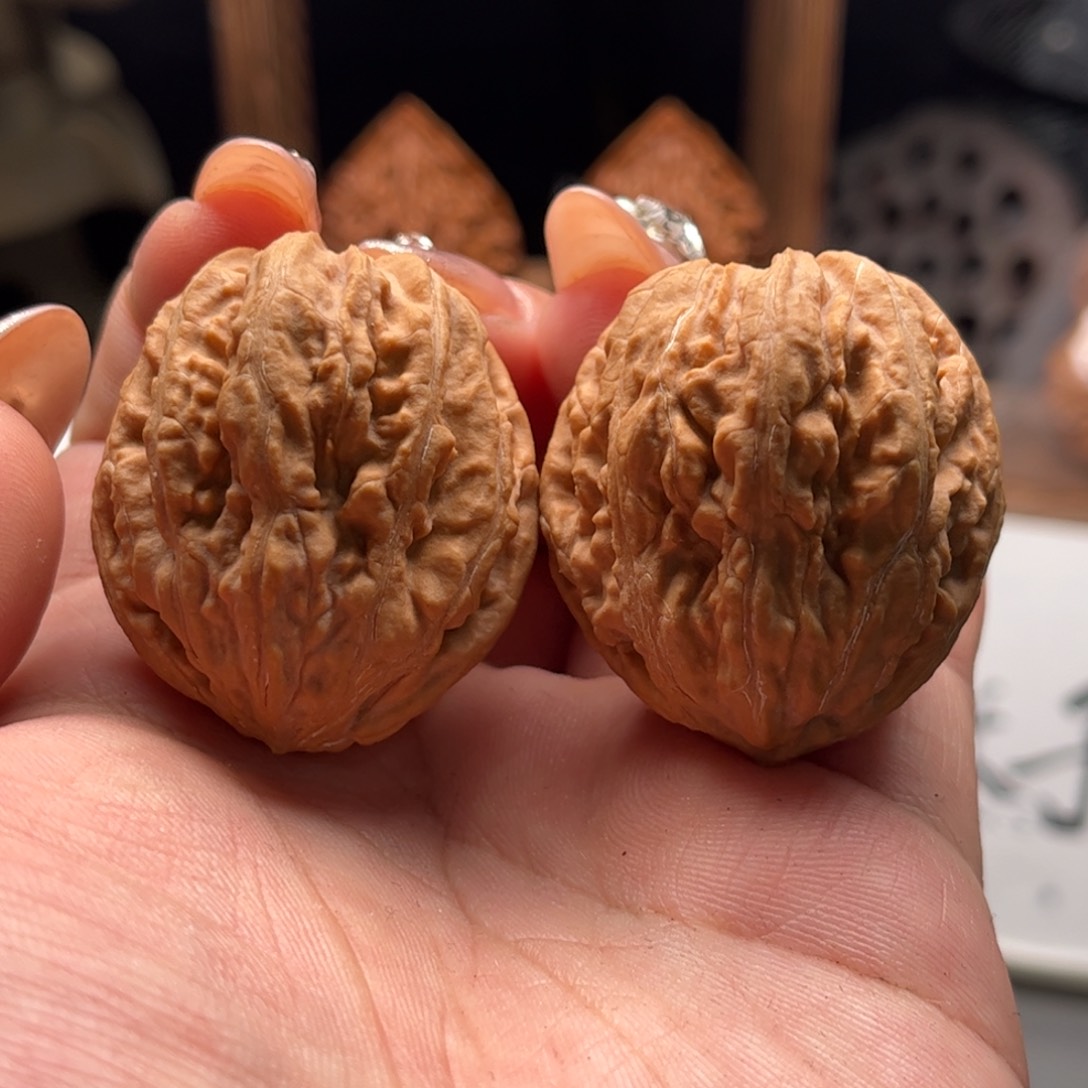 文玩核桃把件关东木子家楸大胖26