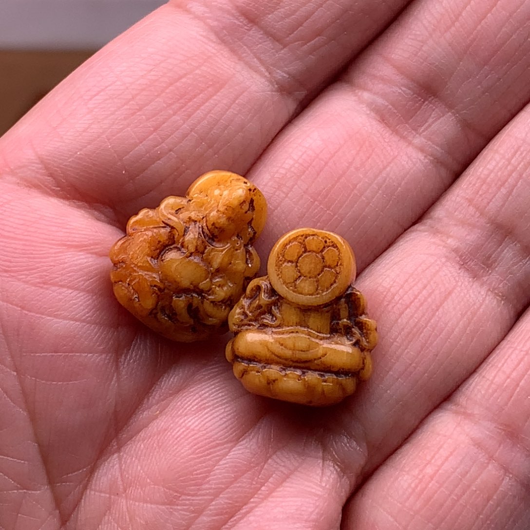 驼骨其他天天都在盘