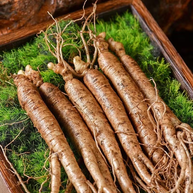 【本帅专属】长白山林下种植人参   鲜人参    送种子