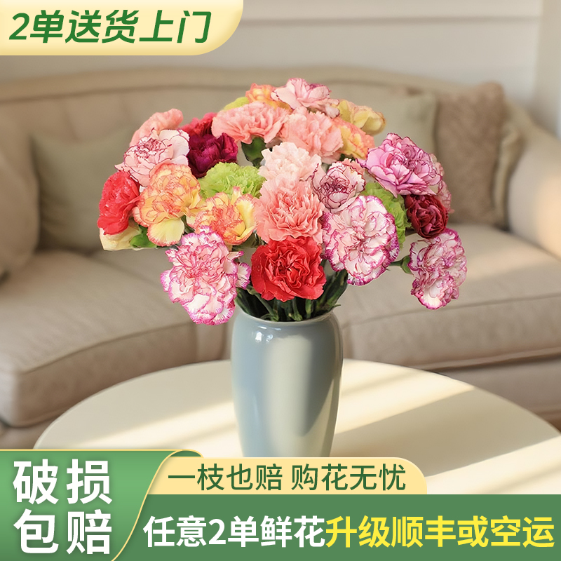 【源头优选老六】康乃馨鲜切花/元旦预热-任意2单鲜花升级快递