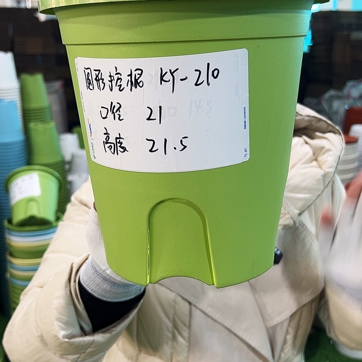 正品圆控根口21高21果绿无托5个