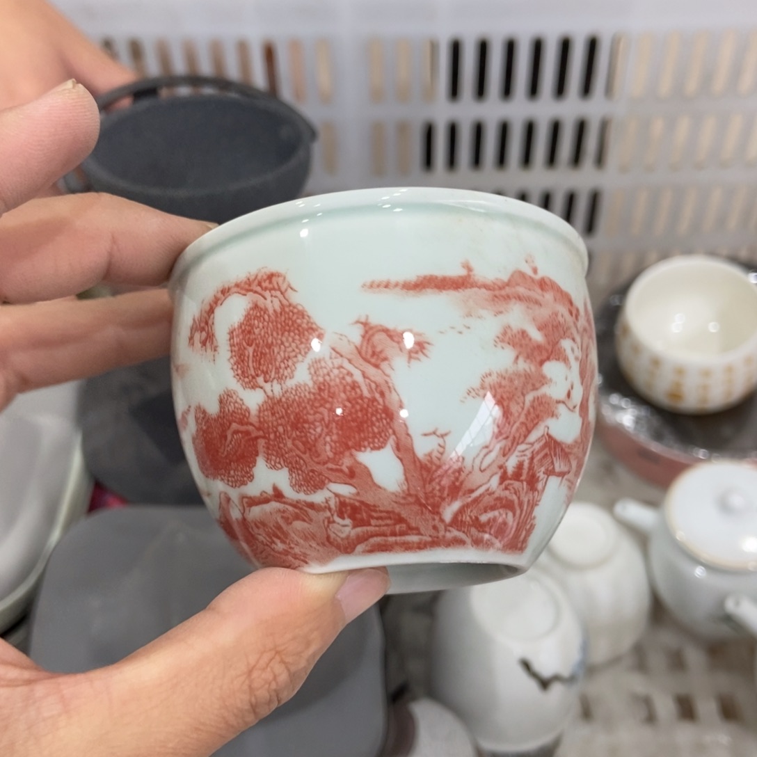 杯直播链接直播链接