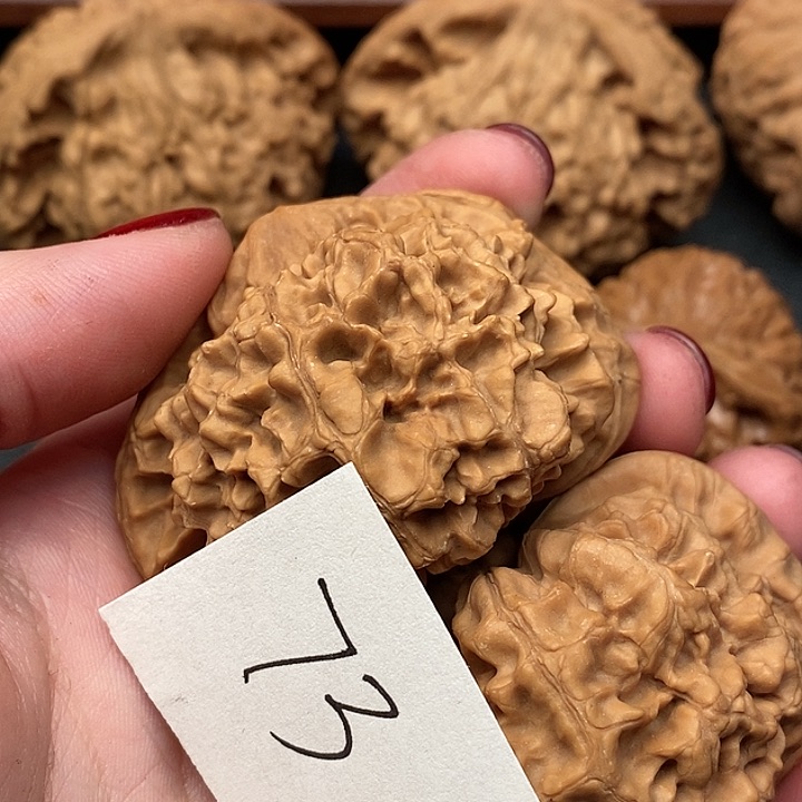 官帽10米磕尖1111111111111