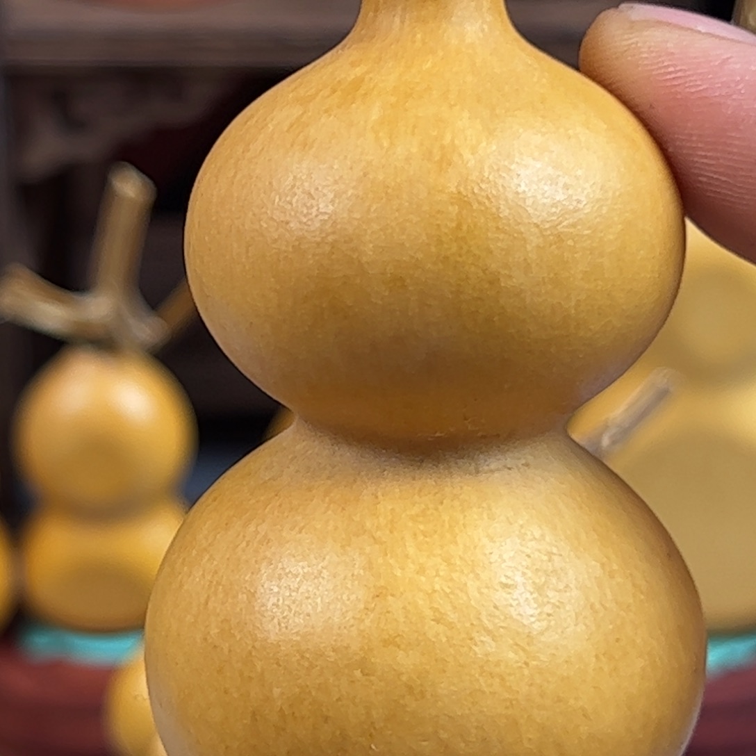 。***7藤木我的小可爱，一点也不像个女孩