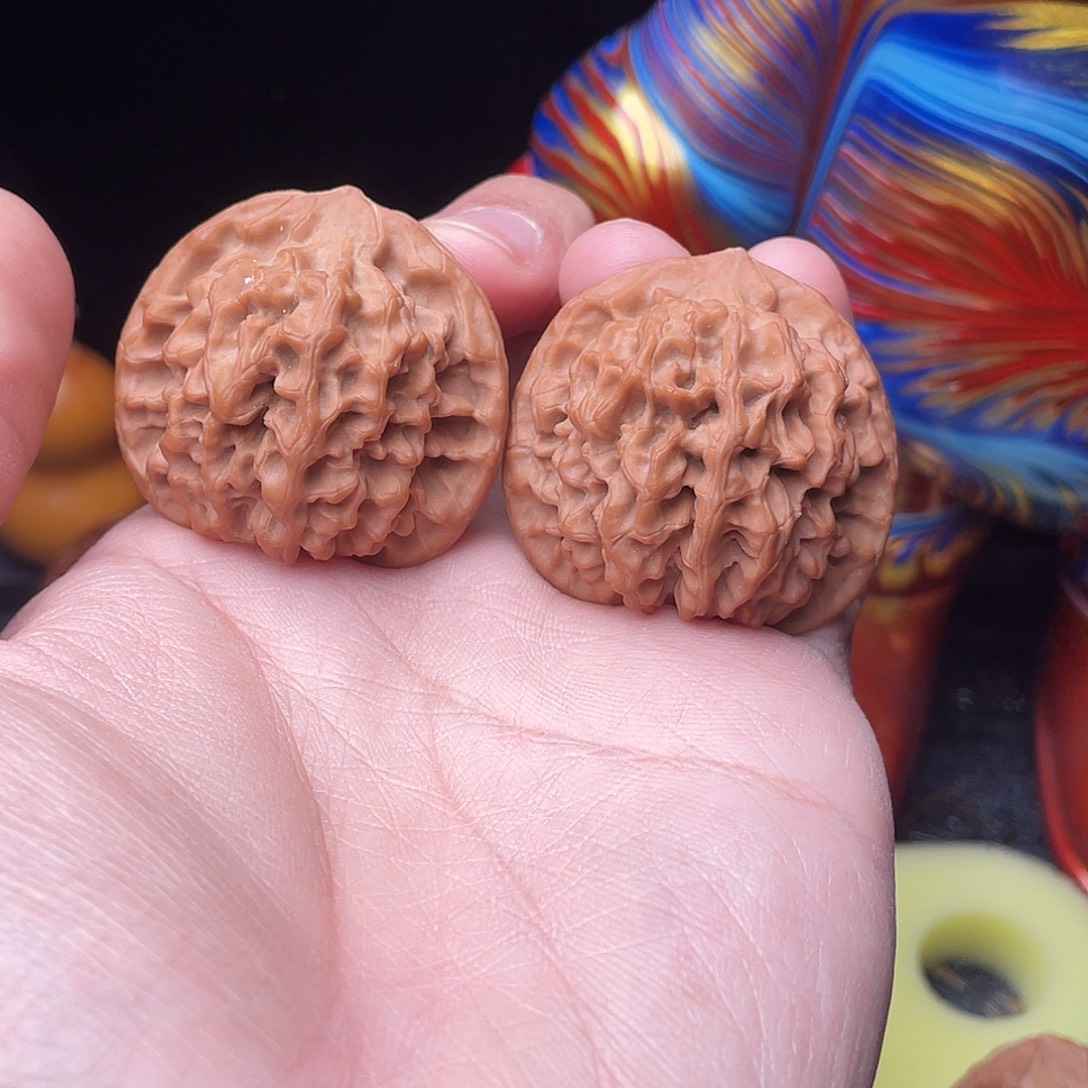 龙脊菩提吊坠40尺全品秦闷精配