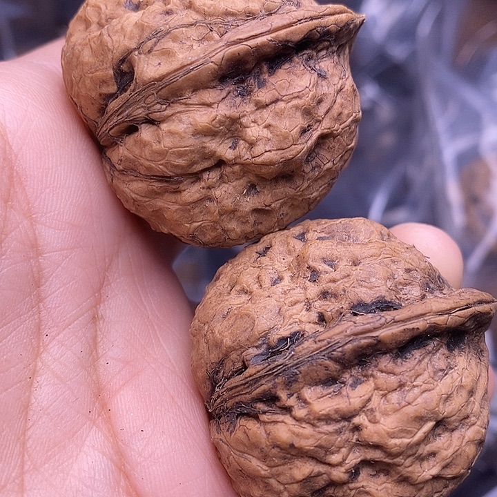 文玩核桃吊坠   28