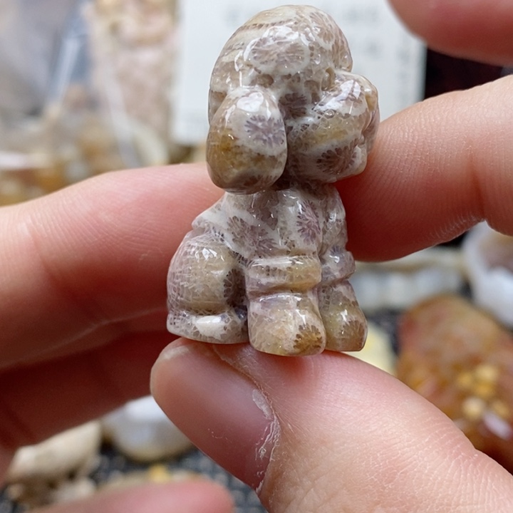 硅化珊瑚（珊瑚玉）颈饰未镶嵌