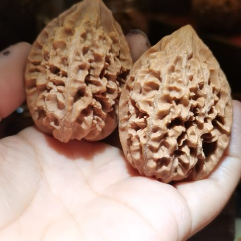 猴头核桃吊坠38.5招财鼠