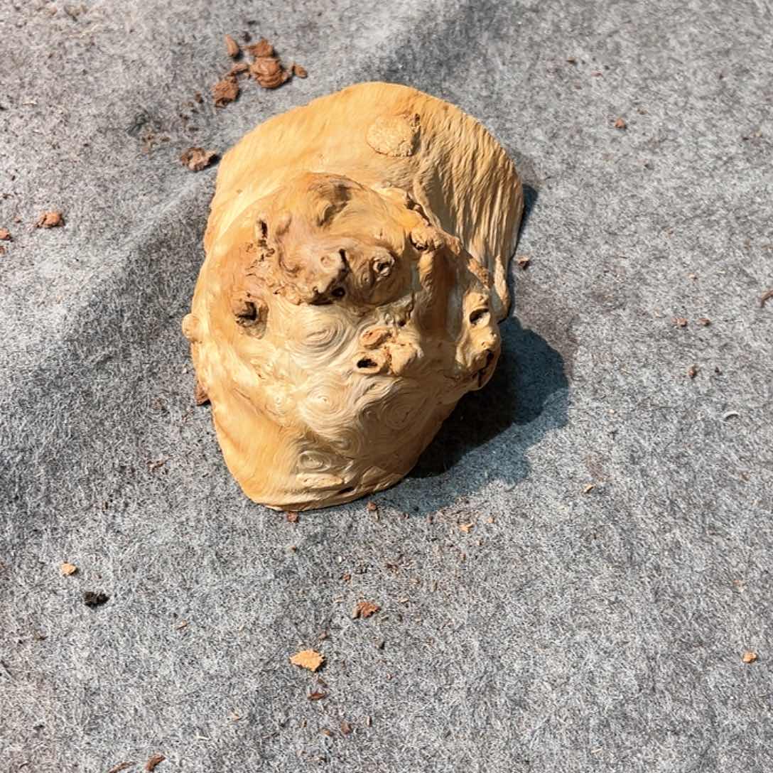 荔枝木飘*荔枝木榴疤